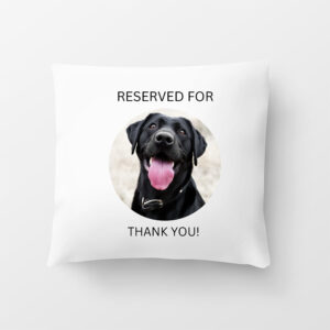 Customized Pillow