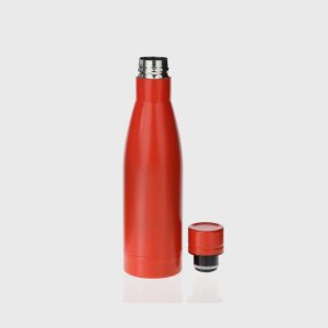 Insulated Double Wall Bottle